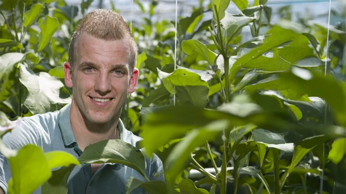 Kas van familie De Jong